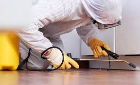 Professional Pest Control in Cherry Branch, NC